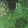 Swamp