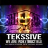 We Are Indestructible