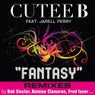 Fantasy Remixes EP
