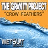 Crow Feathers