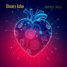Binary Echo