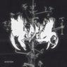 Talon / Turn The Lights Down