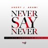 Never Say Never (Sylenth Remix)