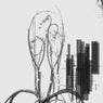 Wireman