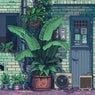 Alocasia