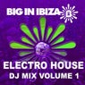 Electro House: DJ Mix Vol. 1