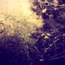 Ontology (feat. Jessy Moravec)