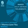 I Wanna Love You (Remixes)