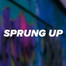 Sprung Up