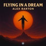 Flying in a dream