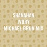 Ivory (Michael Brun Mix)