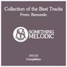 Collection of the Best Tracks From: Remundo
