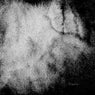 Disoriented