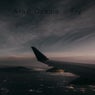 Fly