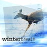 Winterbreath - Lounge & Chillout