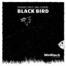 Black Bird