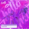 Voices
