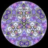 Synthetic Fusion