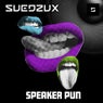 Speaker Pun