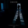 Voice