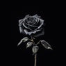 Rose Wars