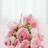 Kittens Roses