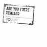 Are You There Remixes