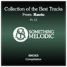 Collection of the Best Tracks From: Rautu, Pt. 13