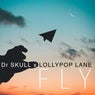 Fly