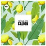 Calion