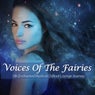 Voices Of The Fairies (Silk Enchanted Mystical Chillout Lounge Journey)
