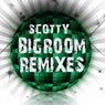 Bigroom Remixes