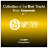 Collection of the Best Tracks From: Exogenetic, Pt. 2