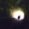 Free Path