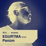 Egurtma