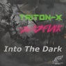 Into the Dark