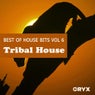 Best of House Bits Vol 6 - Tribal House & World Sounds