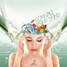 Compile Your Mind - Compiled By DJ Raveoholic