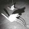 A Mimesis of Nothingness