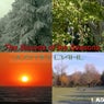 The Sounds of The Seasons