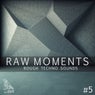 Raw Moments, Vol. 5 - Rough Techno Sounds