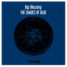 The Shades Of Blue