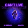 Can't Live Without You