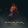 Burning Rose