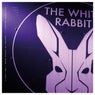 White Rabbit