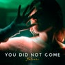 You Did Not Come