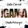 iGama (feat. Dladla Mshunqisi) [Main Mix]