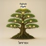 Infinite Light (Extended Mix)