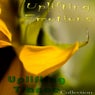 Uplifting Emotion Vol 01