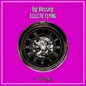 Eclectic Flying